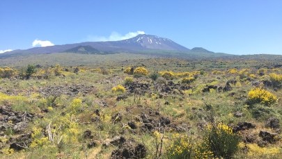 Etna i nie tylko. Niesamowite widoki z pokładu pociągu polskiej produkcji