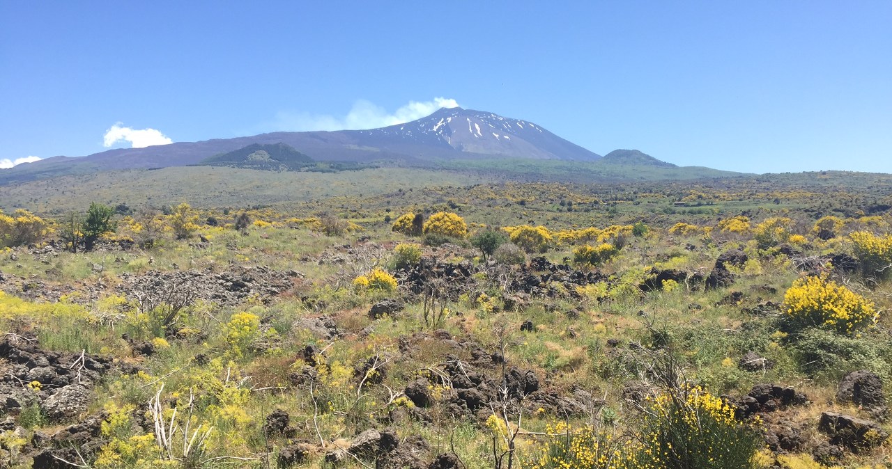 Etna i nie tylko. Niesamowite widoki z pokładu pociągu polskiej produkcji