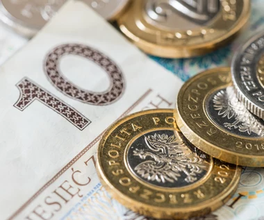 Euro coraz mocniejsze. Złoty już nie dotrzymuje kroku wspólnej walucie