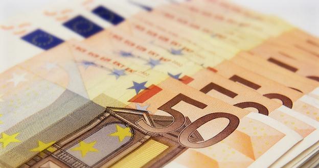 Euro jest aktualnie drugą najpopularniejszą walutą na polskim rynku kredytów hipotecznych /&copy; Panthermedia