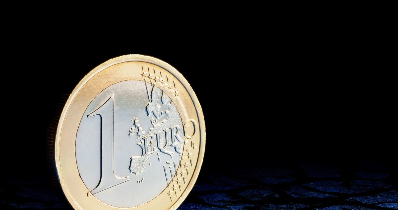 Euro kosztowało w piątek około 4,46 zł /123RF/PICSEL
