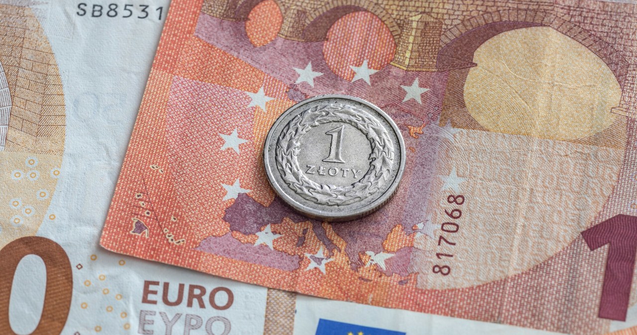 Euro kosztuje obecnie 4,31 zł /Arkadiusz Ziółek /East News