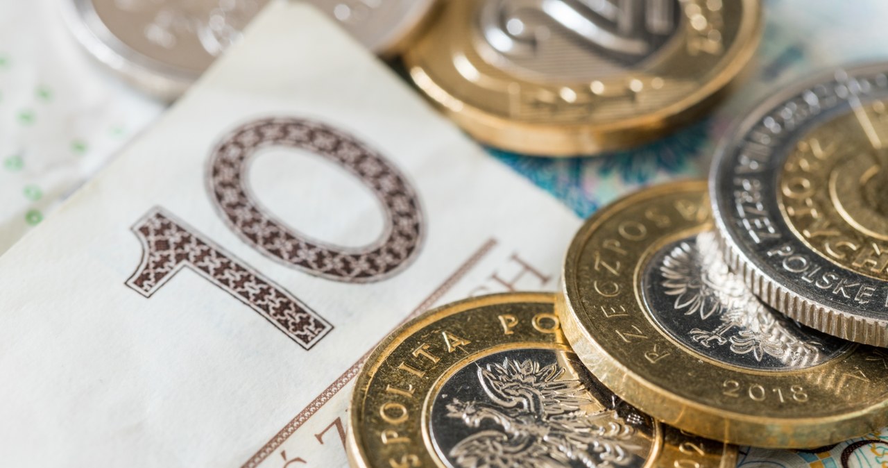 Euro mocniejsze, złoty nie dotrzymuje kroku. Eksperci wskazują ryzyka /123RF/PICSEL
