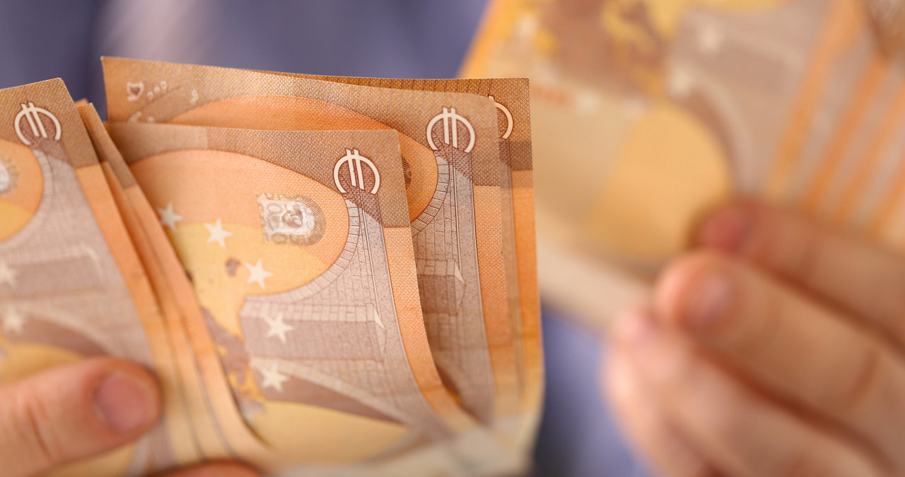 Euro nie uchroniłoby nas przed wysoką inflacją? Zdj. ilustracyjne /123RF/PICSEL
