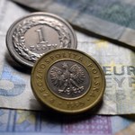 Euro po 4,13 zł? Ekonomista tłumaczy, co działa na korzyść złotego 