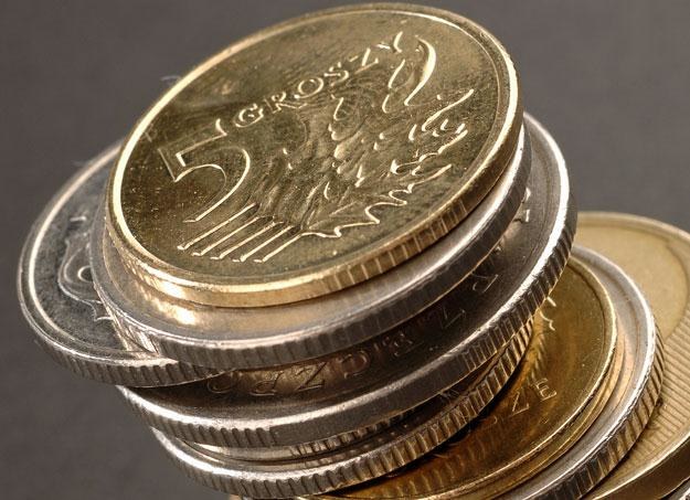 Euro umacniało się względem dolara i złoty odrobił straty /&copy; Bauer