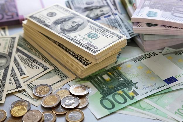 Euro wzmacnia się wobec dolara /&copy;123RF/PICSEL