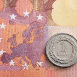 Euro zastąpi złotego? Zapytali Polaków, wyniki sondażu są jasne