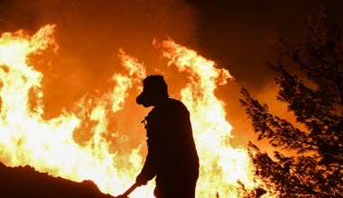 Europa płonie w rekordowym tempie. Naukowcy tłumaczą, jak zatrzymać pożary