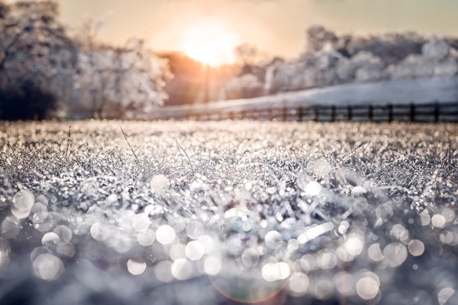 Europa południowa i środkowa doświadcza rekordowo niskich temperatur, nawet do -18°C w Alpach. /Shutterstock