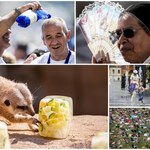 Europa skwierczy. Rekord ciepła padł nie tylko w Polsce