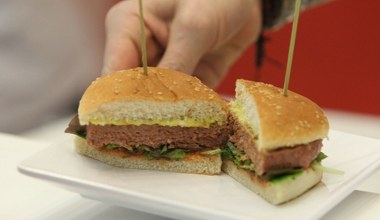 Europarlament za zakazem "burgerów" bez mięsa. Branża roślinna pod presją