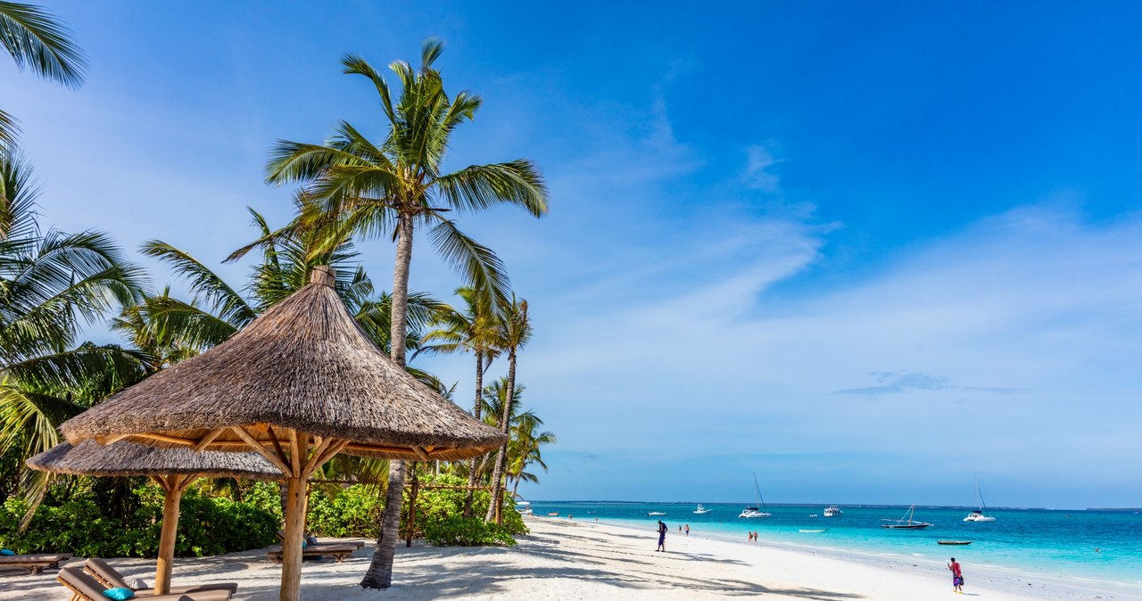Europejczycy, a wśród nich Polacy, stanowią największa grupę zagranicznych turystów odwiedzających Zanzibar /Picsel /123RF/PICSEL