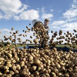 Europejczycy za utrzymaniem dopłat dla rolników