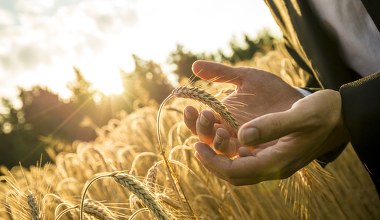 Europejski kraj szykuje nowy podatek. Rolnicy zapłacą za ocieplenie klimatu