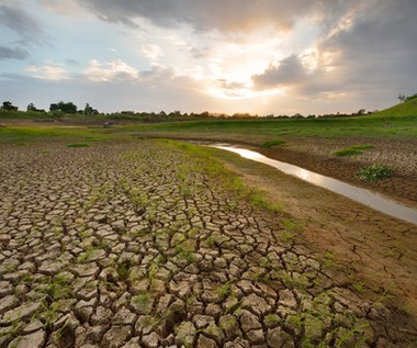 Europejskie rzeki wysychają. Największa od 500 lat susza już uderza w produkcję żywności