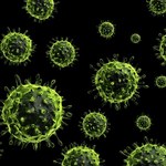 Europie zagraża zabójczy wirus. Jest odporny na wszystkie znane leki