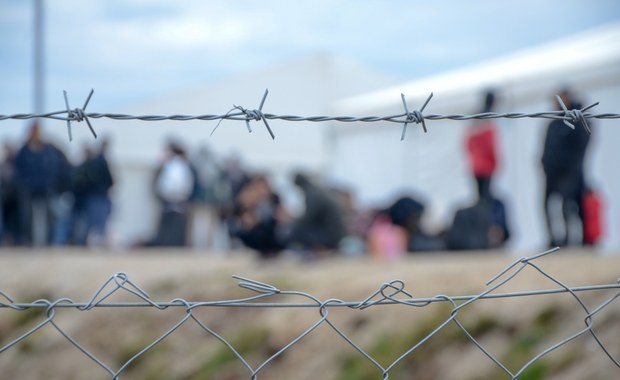 Europol rozbił grupę przemycającą migrantów przez Białoruś m.in. do Polski