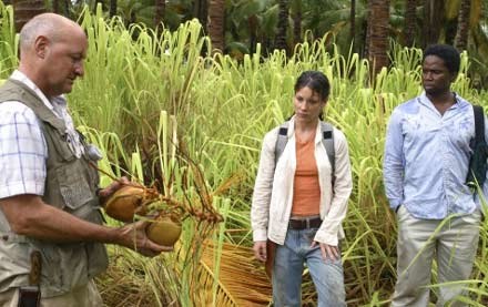 Evangeline Lilly i Harold Perrineau - kadr z serialu "Zagubieni" /