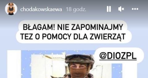 Ewa Chodakowska zaapelowała o pomoc zwierzętom /Instagram