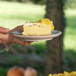 „Ewa gotuje”: Sernik z mango i marakują