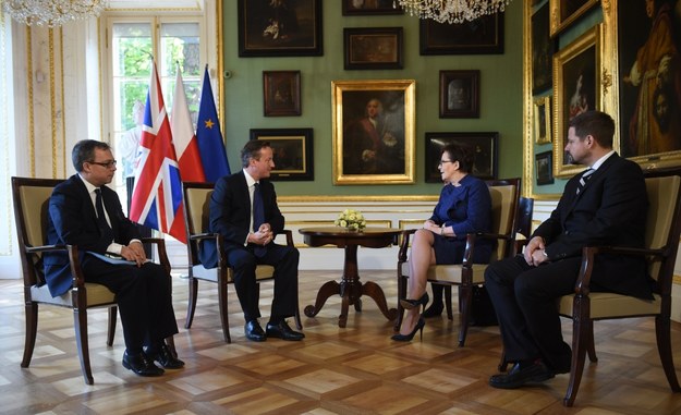 Ewa Kopacz i David Cameron (drugi z lewej) podczas rozmów w Pałacu na Wyspie w Łazienkach Królewskich w Warszawie /Radek Pietruszka /PAP