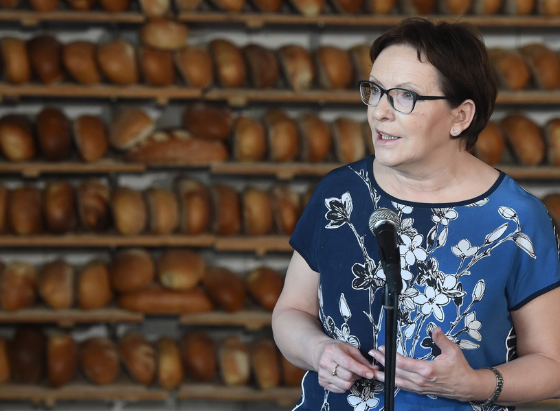 Ewa Kopacz i jej rząd kontynuują objazd po Polsce /Radek Pietruszka /PAP