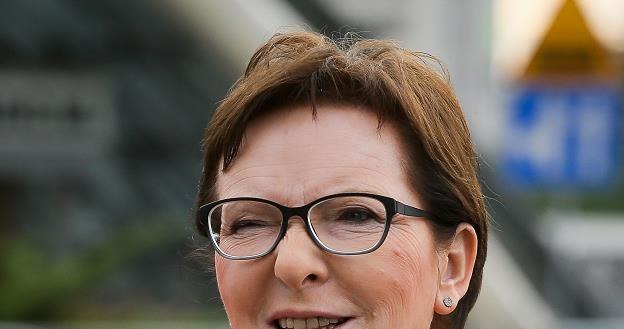 Ewa Kopacz, premier rządu RP /PAP