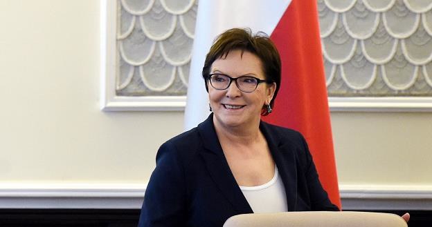 Ewa Kopacz, premier rządu RP /PAP