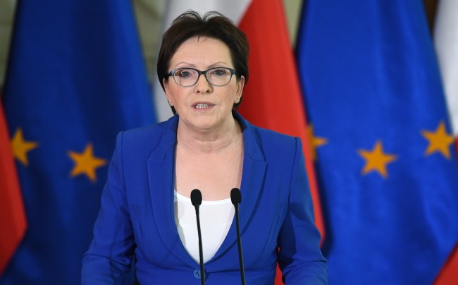 Ewa Kopacz /Radek Pietruszka /PAP