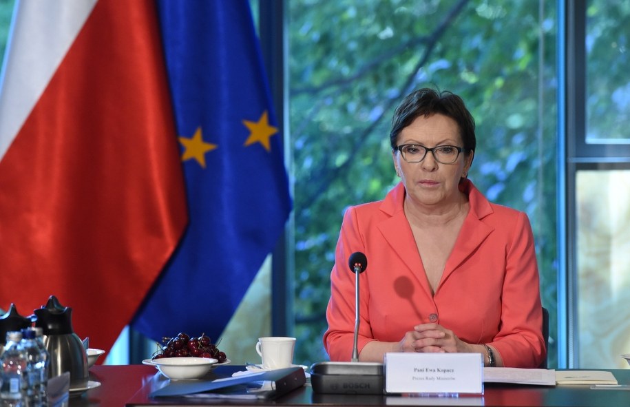 Ewa Kopacz /Radek Pietruszka /PAP