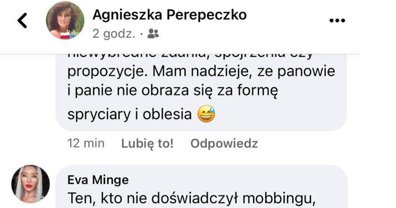 Ewa Minge stanęła w obronie Anny Wendzikowskiej /Facebook