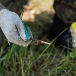 Ewakuacja 200 osób z centrum Czechowic-Dziedzic. Powodem pociski moździerzowe