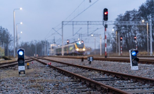 Ewakuacja pasażerów z pociągu. Na przewody spadło drzewo
