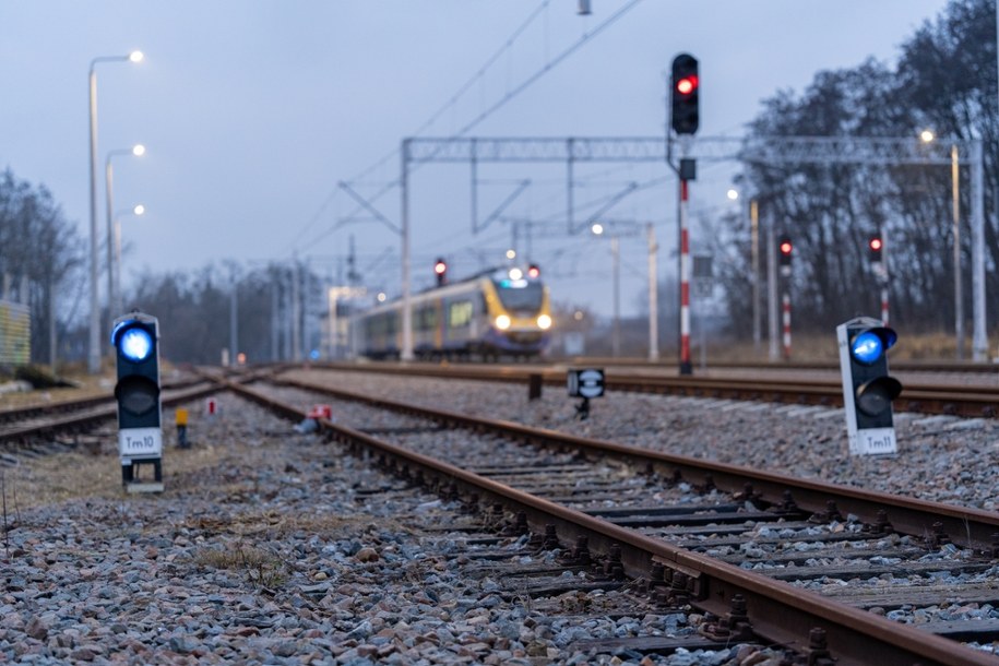 Ewakuacja pasażerów z pociągu. Na przewody spadło drzewo