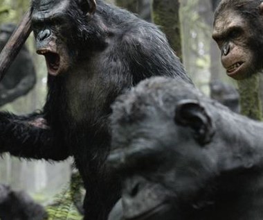 "Ewolucja planety małp": Małpy przejmują władzę