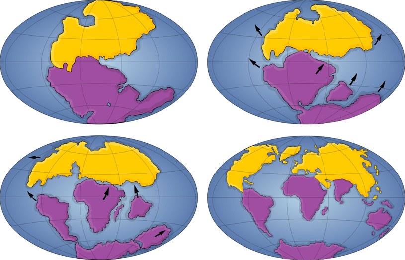 Ewolucja Ziemi - od czasów 205 mln lat temu, do dzisiaj /123RF/PICSEL
