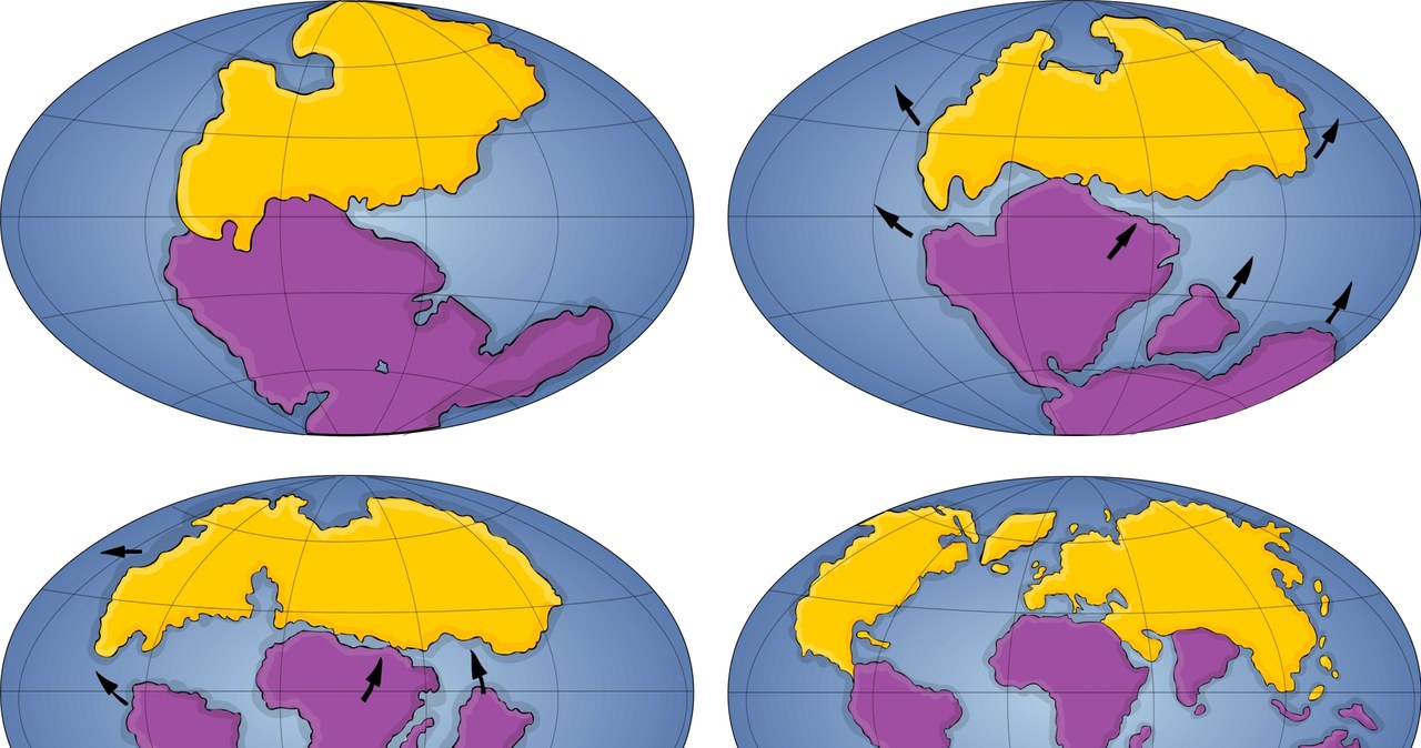 Ewolucja Ziemi - od czasów 205 mln lat temu, do dzisiaj /123RF/PICSEL