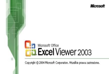 Excel Viewer najprawdopodobniej nie jest zagrożony, ale lepiej uważać /INTERIA.PL