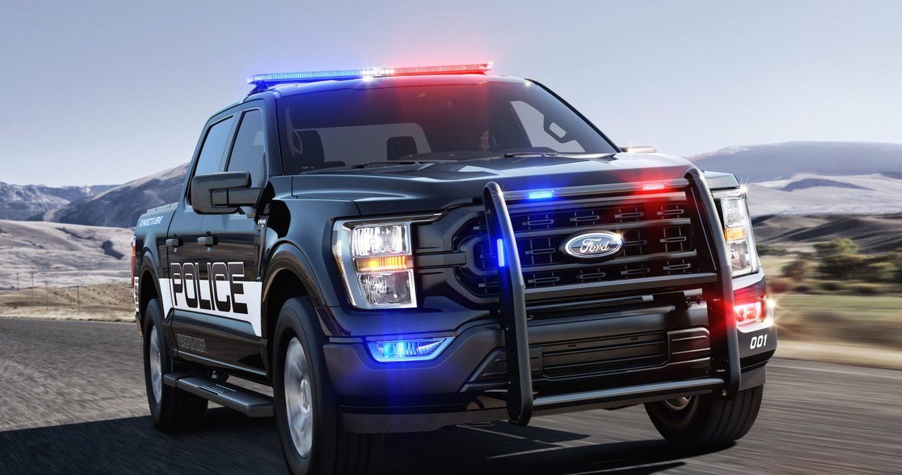 F-150 Police Responder /INTERIA.PL