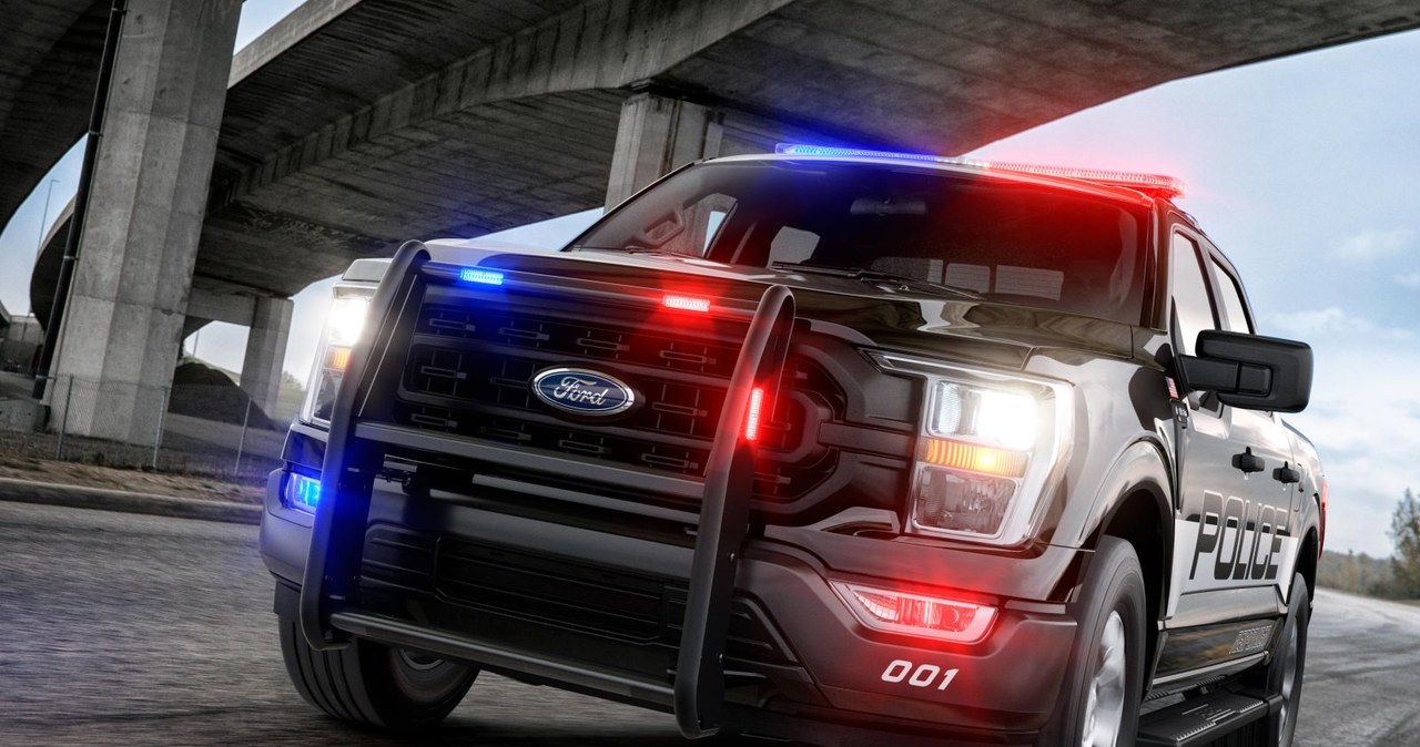 F-150 Police Responder /INTERIA.PL