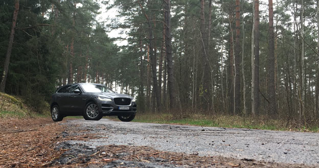 F-Pace na mazurskich bezdrożach /INTERIA.PL