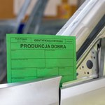 Fabryka za 770 mln zł nie powstanie w Polsce. Wszystko przez jedną decyzję