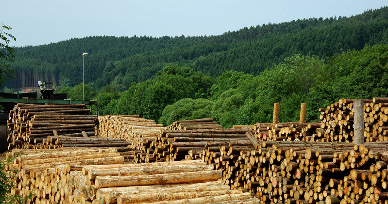 Fabryki płyt meblowych podniosły ceny swoich wyrobów aż o 60-100 proc. /123RF/PICSEL