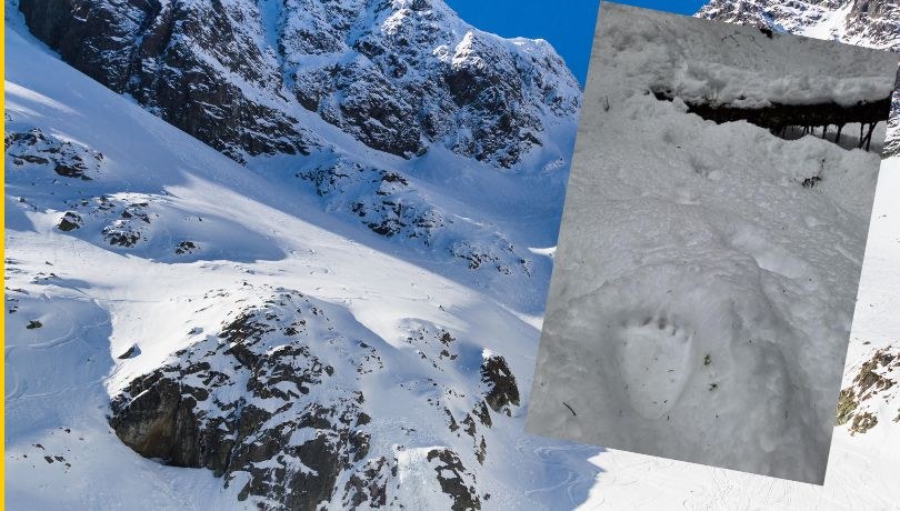 Facebook/TPN /Shutterstock