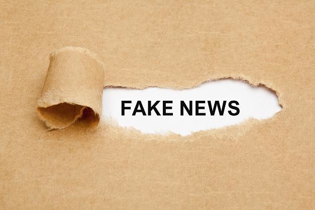 Fake newsy panoszą się w sieci /&copy;123RF/PICSEL