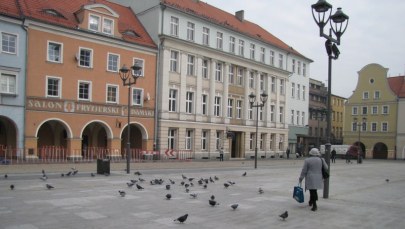 Fakty z Twojego Miasta: Poznaj Gliwice!