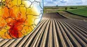 Fala gorąca zaleje Polskę. Zmiany zaczną się już wkrótce