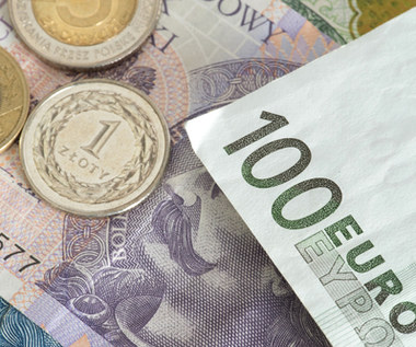 Fala negatywnych prognoz dla polskiej waluty. Euro może zbliżyć się do 5 zł