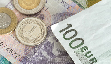 Fala negatywnych prognoz dla polskiej waluty. Euro może zbliżyć się do 5 zł